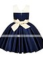 cheap Girls&#039; Dresses-Kids Little Girls&#039; Dress Solid Colored Red Lace up Bow Purple Green Red Knee-length Sleeveless Active Sweet Dresses Regular Fit