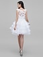 cheap Cocktail Dresses-Ball Gown Dress Holiday Knee Length Sleeveless Illusion Neck Tulle with 2022 / Cocktail Party / Prom