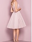 cheap Homecoming Dresses-A-Line Cocktail Dresses Flirty Dress Homecoming Graduation Knee Length Sleeveless V Neck Pink Dress Tulle with Pleats 2024