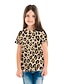 billige jentes 3d t-skjorter-Jente 3D Leopard T skjorte T-skjorte Kortermet 3D-utskrift Sommer Aktiv Polyester Barn 3-12 år Dagligdagstøy Normal