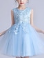 Χαμηλού Κόστους Φορέματα για πάρτι-παιδικό κοριτσίστικο φόρεμα λουλούδι παγιέτες μπλε ναυτικό αμάνικο πριγκίπισσα γλυκά φορέματα παιδικά μέρα καλοκαίρι κανονική εφαρμογή 3-12 ετών