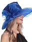 Недорогие Шляпы для вечеринки-Жен. Шляпа Праздничная шляпа Черный Синий Лиловый Свадьба Для вечеринок на открытом воздухе Цветочный Чистый цвет Компактность Защита от солнца Дышащий