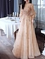 cheap Prom Dresses-A-Line Glittering Elegant Engagement Formal Evening Dress High Neck Long Sleeve Floor Length Tulle with Sequin 2022
