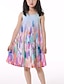 cheap Girls&#039; Dresses-Kids Little Girls&#039; Dress Graphic Print Rainbow Knee-length Sleeveless Flower Active Dresses Summer Regular Fit 3-10 Years