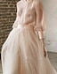 billige Fest kjoler-todelt festkjole minimalistisk bryllupsgæst formel aften fødselsdagskjole stander krave langærmet gulvlængde chiffon med etage 2024