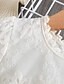 cheap Girls&#039; Dresses-Kids Little Dress Girls&#039; Solid Colored Tulle Dress Lace White Blue Knee-length Long Sleeve Cute Dresses Spring Summer Slim