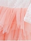 cheap Girls&#039; Dresses-Kids Toddler Little Dress Girls&#039; Flower Tulle Dress Backless Mesh Lace Purple Blushing Pink White Asymmetrical 3/4 Length Sleeve Cute Dresses Regular Fit