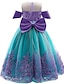 cheap Dresses-Girls&#039; Dress The Little Mermaid Ariel Floral Tulle Dress Party Festival Embroidered Mesh Bow Purple Green Cotton Midi Sleeveless Princess Sweet SatinDresses Summer Regular Fit 3-10 Years