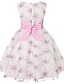 cheap Dresses-Kids Girls&#039; Dress Floral Sleeveless Party Embroidered Lace Trims Bow Cute Cotton Knee-length Skater Dress Summer 3-10 Years Pink Dusty Rose Red