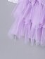 cheap Girls&#039; Dresses-Kids Toddler Little Dress Girls&#039; Flower Tulle Dress Backless Mesh Lace Purple Blushing Pink White Asymmetrical 3/4 Length Sleeve Cute Dresses Regular Fit