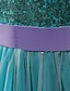 ieftine Rochii-rochie pentru fete micuța sirenă ariel rochie florală din tul petrecere festival ochiuri de plasă brodate fundă violet verde bumbac midi fără mâneci prințesă dulce satin rochii de vară potrivire obișnuită 3-10 ani