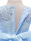 cheap Party Dresses-Kids Little Girls&#039; Dress Floral Lace Solid Color Party Wedding Evening Hollow Out Princess White Blue Purple Lace Tulle Maxi Swing Mesh Dress Short Elbow Sleeve Flower Vintage Gowns Dresses 3-14 Years