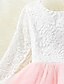 cheap Girls&#039; Dresses-Kids Little Girls&#039; Pink Party Princess Flower Lace Scalloped Tulle Back Backless Tutu Top Edges Tiered Girl Dress