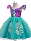 cheap Girls&#039; Dresses-Kids Little Girls&#039; Dress Mermaid Party Special Occasion Mesh Blue Above Knee Sleeveless Princess Cute Dresses Fall Winter Children&#039;s Day 3-10 Years / Spring / Summer