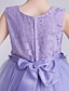 cheap Girls&#039; Dresses-Kids Little Girls&#039; Dress Floral Lace Party Princess Solid Colored Causal White Purple Blushing Pink Mesh Lace Tulle Cute Sweet Dresses 3-12 Years