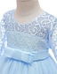 cheap Girls&#039; Dresses-Kids Little Girls&#039; Dress Floral Lace Solid Colored Party Wedding Evening Hollow Out White Blue Purple Lace Tulle Maxi Short Sleeve Flower Vintage Gowns Dresses 3-13 Years