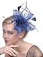 זול Accessoires Opruiming-בגדי ריקוד נשים קליפס לשיער מסיבה מפלגה צבע אחיד ביגוד לראש / לבן / אדום / כחול / סתיו / חורף