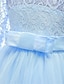 cheap Party Dresses-Kids Little Girls&#039; Dress Floral Lace Solid Colored Party Wedding Evening Hollow Out White Blue Purple Lace Tulle Maxi Short Sleeve Flower Vintage Gowns Dresses 3-13 Years