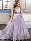 cheap Girls&#039; Dresses-Kids Little Girls&#039; Dress Lace Floral Princess Party Formal Evening Wedding Pageant Embroidery Bow White Purple Red Tulle Maxi Sleeveless Elegant Vintage Ball Gown Dresses Fit 4-13 Years