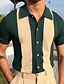 cheap Men&#039;s Clothing-Men&#039;s Polo T shirt Vintage Style Spring Summer Green