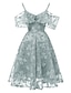 זול שמלות NYE-גזרת A שמלות קוקטייל אלגנטית שמלה אורחת חתונה סיום לימודים באורך  הברך שרוולים קצרים רצועות ספגטי תחרה עם תחרה משולבת דוגמא \ הדפס 2024