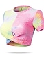 Χαμηλού Κόστους Γιόγκα Μπλουζάκια-Γυναικεία Στρογγυλή Ψηλή Λαιμόκοψη Γιόγκα Κορυφή Κοντό μπλουζάκι Καλοκαίρι Ζακάρ Στριφτό Συμπαγές Χρώμα Βυσσινί Σκούρο πράσινο Γιόγκα Καταλληλότητα Γυμναστήριο προπόνηση Μπλουζάκι Κοντομάνικο