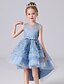 cheap Girls&#039; Dresses-Kids Little Girls&#039; Dress Floral Performance Wedding Party Layered Mesh Asymmetric Blue Blushing Pink As Picture Above Knee Sleeveless Princess Cute Sweet Dresses Children&#039;s Day Regular Fit 3-12 Years