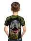 halpa poikien 3d t-paidat-Lapset Poikien T-paita Lyhythihainen Dinosaurus 3D-tulostus Eläin Painettu Harmaa vihreä Laivasto Musta harmaa Lapset Topit Kesä Aktiivinen Arki-asut Normaali 4-12 vuotta