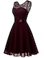 cheap Party Dresses-Women&#039;s Party Dress Lace Dress Midi Dress Black Pink Red Wine Pure Color Sleeveless Winter Fall Spring Layered Fashion Crew Neck Slim Winter Dress Christmas Evening Party 2022 XS S M L XL XXL XXXL