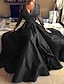 cheap Winter Formal Dresses-A-Line Evening Gown Elegant Dress Party Wear Formal Evening Floor Length Long Sleeve V Neck Tulle with Pleats Appliques 2024