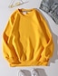 halpa Naisten vaatteet-naisten minkki fleece -hupparit sakeutuvat 400g villapaita ylisuuret päivittäiset peruspaidat sininen keltainen vaaleanharmaa