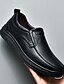 cheap Men&#039;s Slip-ons &amp; Loafers-Men&#039;s Loafers &amp; Slip-Ons Leather Shoes Comfort Loafers Leather Loafers Vintage Business Casual Daily Party &amp; Evening Leather Nappa Leather Non-slipping Shock Absorbing Wear Proof Black Brown Fall