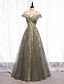 Χαμηλού Κόστους Φορέματα Χορού Αποφοίτησης-Γραμμή Α Βραδινά φορέματα Κομψό Φόρεμα Επισκέπτης γάμου Αρραβώνας Μακρύ Κοντομάνικο Λαιμός ψευδαίσθησης Τούλι με Πλισέ 2024