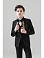 Недорогие Нарядные костюмы для мальчиков-Черный Детский праздничный костюм 3 Рождество Полиэстер / вискоза (T / R) Пальто 2022