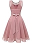 Χαμηλού Κόστους Πάρτι Φορέματα-Γυναικεία Φόρεμα για πάρτυ Φόρεμα Φόρεμα μέχρι το γόνατο Ανθισμένο Ροζ Κόκκινο Κρασί Σκούρο μπλε Ρουμπίνι Λευκό Μαύρο Αμάνικο Μονόχρωμες Δαντέλα Άνοιξη Καλοκαίρι Στρογγυλή Ψηλή Λαιμόκοψη Κομψό