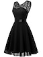 cheap Party Dresses-Women&#039;s Party Dress Lace Dress Midi Dress Black Pink Red Wine Pure Color Sleeveless Winter Fall Spring Layered Fashion Crew Neck Slim Winter Dress Christmas Evening Party 2022 XS S M L XL XXL XXXL