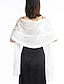 cheap Women&#039;s Shawls &amp; Wraps-Women&#039;s Women&#039;s Shawls &amp; Wraps Party Special Occasion Party Evening Silver White Blue Scarf Pure Color / Fall / Winter / Spring / Summer / Polyester