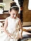 cheap Flower Girl Dresses-A-Line Ankle Length Flower Girl Dress First Communion Girls Cute Prom Dress Satin with Bow(s) Elegant Fit 3-16 Years