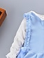 tanie Zestawy-Dla dziewczynek 3D Jednokolorowe Komplet odzieży Długi rękaw Jesień Zima Aktywny Śłodkie Podstawowy Bawełna Dzieci 1-5 lat Ulica Urlop Urodziny Regularny