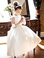 cheap Flower Girl Dresses-A-Line Ankle Length Flower Girl Dress First Communion Girls Cute Prom Dress Satin with Bow(s) Elegant Fit 3-16 Years