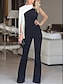 cheap Evening Dresses-Jumpsuits Evening Gown Minimalist Dress Wedding Guest Floor Length Long Sleeve One Shoulder Stretch Fabric with Sleek 2023