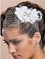 cheap Headpieces-Net Blusher Veils / Wedding Fascinators / Headwear with Floral 1pc Special Occasion / Party / Evening / Party / Cocktail Headpiece