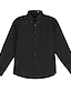 cheap Men&#039;s Dress Shirts-Men&#039;s Dress Shirt Button Up Shirt Collared Shirt Collar Navy Wine Red Black Plain Wedding Work Clothing Apparel