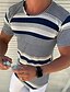 billige grunnleggende t-skjorter for menn-Herre T skjorte Stripet Crew-hals Avslappet Daglig Kortermet Topper Lettvekt Fritid Mote Stor og høy Blå / Sommer