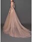 cheap Formal Dresses-A-Line Evening Gown Elegant Dress Wedding Guest Court Train Sleeveless V Neck Tulle with Sash / Ribbon Sequin 2023