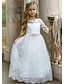 cheap Flower Girl Dresses-Wedding Party Princess Flower Girl Dresses Jewel Neck Floor Length Lace Tulle Winter Fall with Tier Flower Cute Girls&#039; Party Dress Fit 3-16 Years