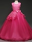 preiswerte Partykleider-Kinder Wenig Mädchen Kleid Einfarbig A Linie Kleid Party Leistung Gerüscht Gitter Spitze Purpur Rosa Fuchsie Maxi Ärmellos Prinzessin nette Art Kleider Herbst Frühling Regular Fit 4-13 Jahre