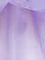 Χαμηλού Κόστους Φορέματα-Παιδιά Κοριτσίστικα Φόρεμα Φλοράλ Πεταλούδα Αμάνικο Γενέθλια Καθημερινά Δαντέλα Σουρωτά Δίχτυ χαριτωμένο στυλ Πριγκίπισσα Βαμβάκι Μίντι Φόρεμα με κέντημα με λουλούδια Φόρεμα σε γραμμή Α Φόρεμα τούλι