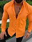 abordables chemises décontractées pour hommes-Chemise Homme Couleur unie Col Bouton bas Manches Longues Plein Air Décontractée du quotidien Standard Tissu semblable au lin Coton Décontractée Mode Confortable / Printemps / Eté