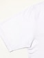 billige herre 3d t-shirt-Herre Unisex T-shirt Tiger Grafiske tryk Rund hals Sort 3D-udskrivning Daglig Ferie Langærmet Trykt mønster Tøj Designer Afslappet Stor og høj